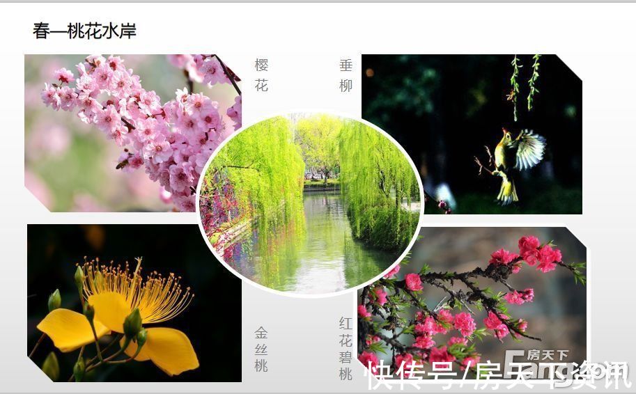 旭辉|请查收从洛阳涧西热门楼盘现场传来多张谍照（组图）