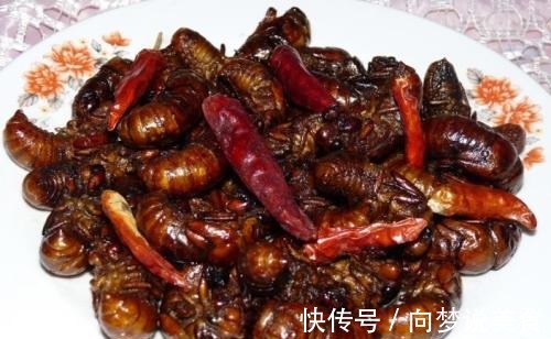 蛋白质|小时候吃知了猴,看中的是美味,现在吃知了猴,提高身体免疫力