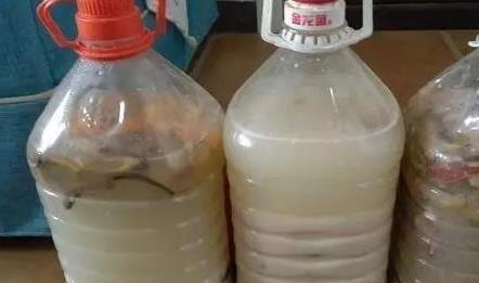 养花浇2种“肥水”，越养越茂盛，开花朵朵艳！