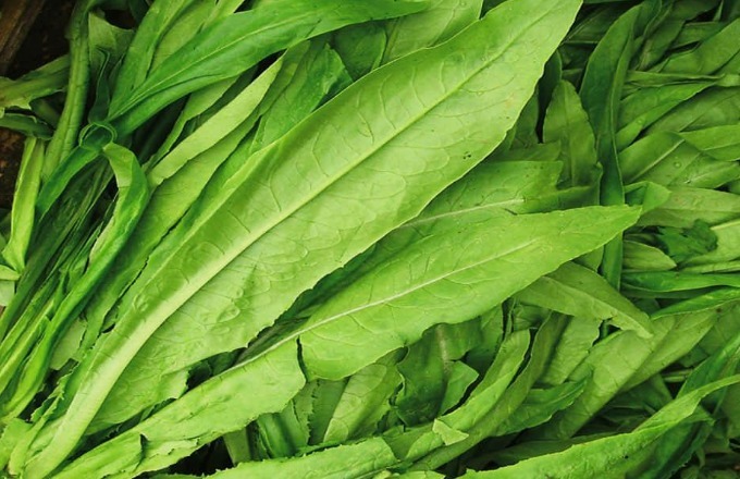 炒油麦菜，用不用焯水学会正确做法，牢记三招，脆嫩又入味