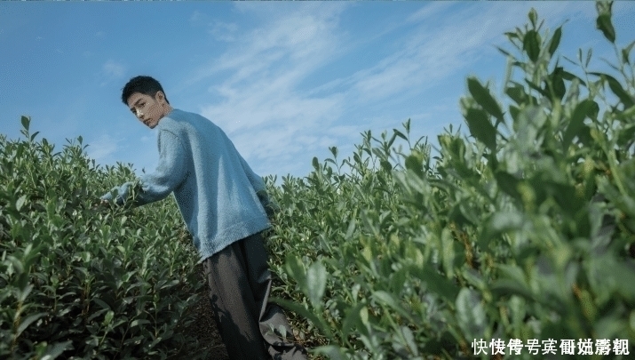 经纪人|或与肖战有关！星动之夜被曝调整人员结构，直言：辞退多位小姑娘