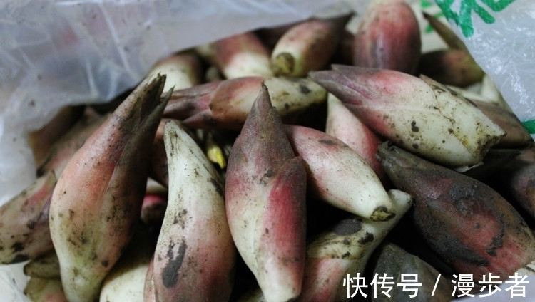 外形|外形像“姜”,其实是名贵的“山珍”,如今逐渐大众化