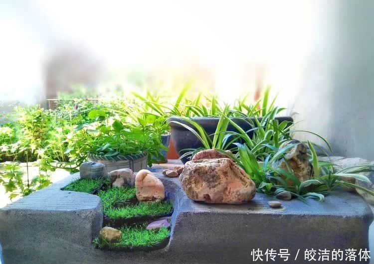 如莲似花,美好心情由你而始!