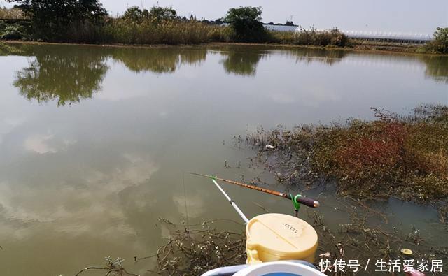 冬季|冬季钓鲫鱼,5宜5不宜!套路不正确,再好的饵料都没用