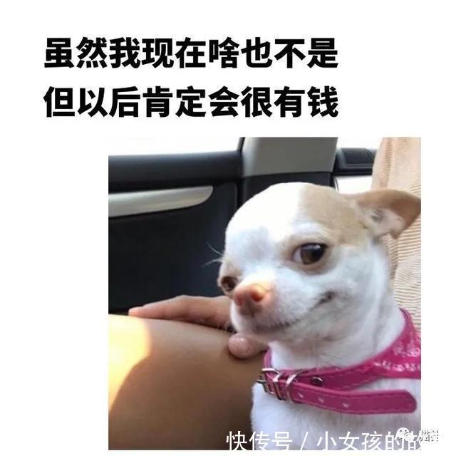 |20210508搞笑图片段子