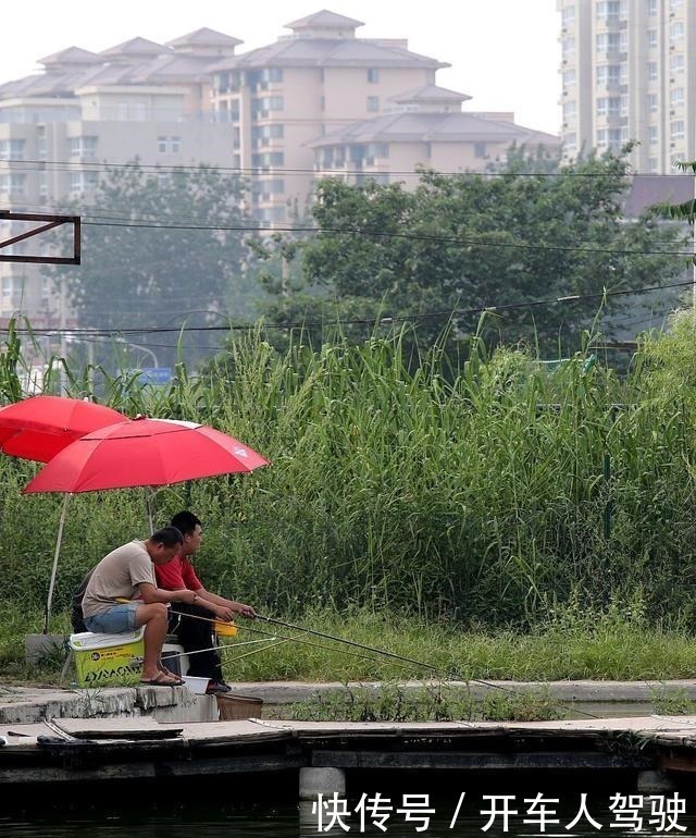 新手钓友如何选择鱼竿的长度老钓友的经验，让你不迷茫