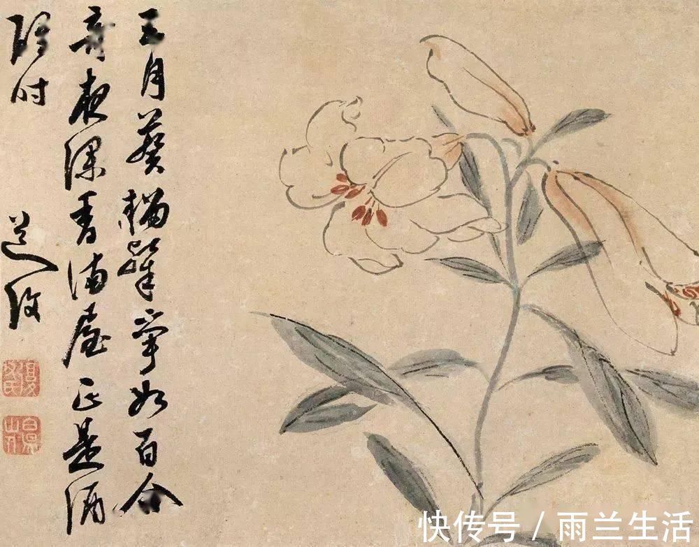 陈淳@与徐渭齐名,这个富二代的一花一世界!