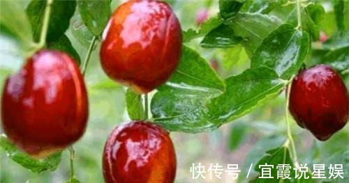 长寿|明朝有位奇人,活了120岁,每天只吃2种食物,名字很耳熟