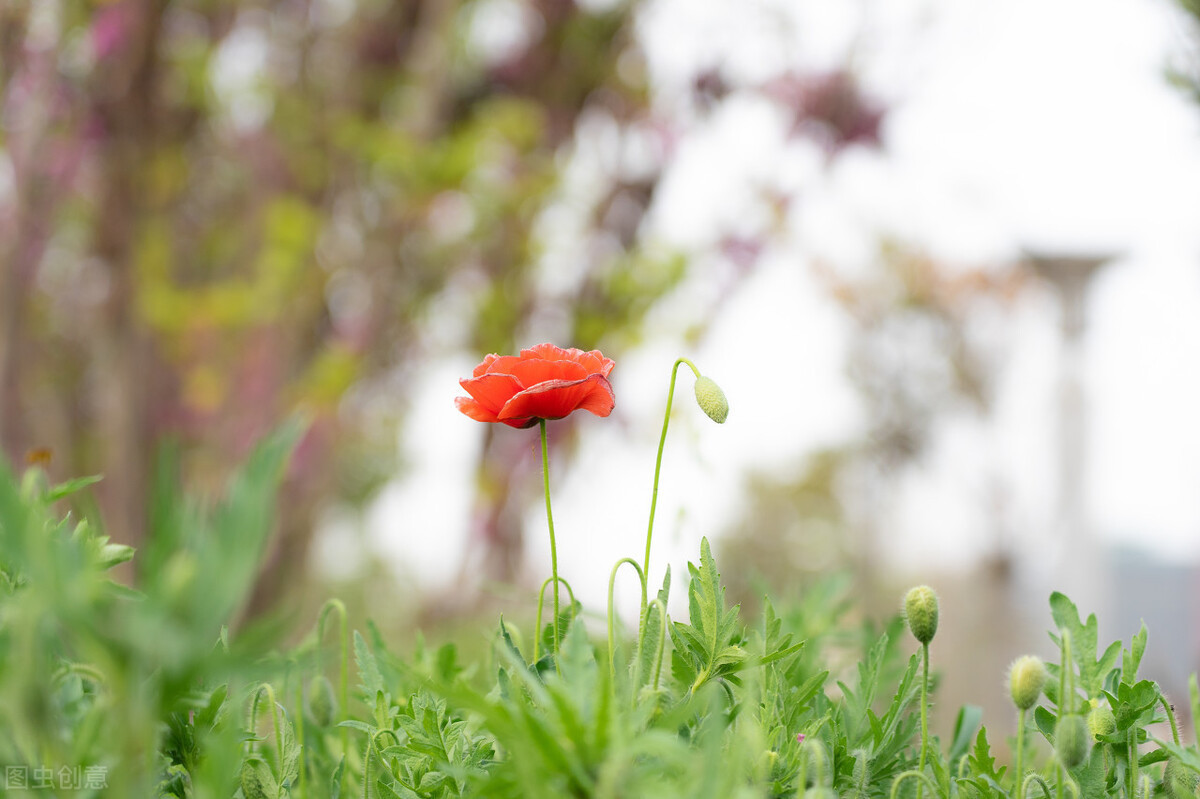 境界的人|一个人的最高境界是:不委屈自己,不亏欠别人