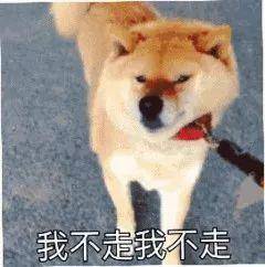 吸收感 护肤品吸收感好就=被脸吸收了吗?你用的护肤品到底吸收了没?