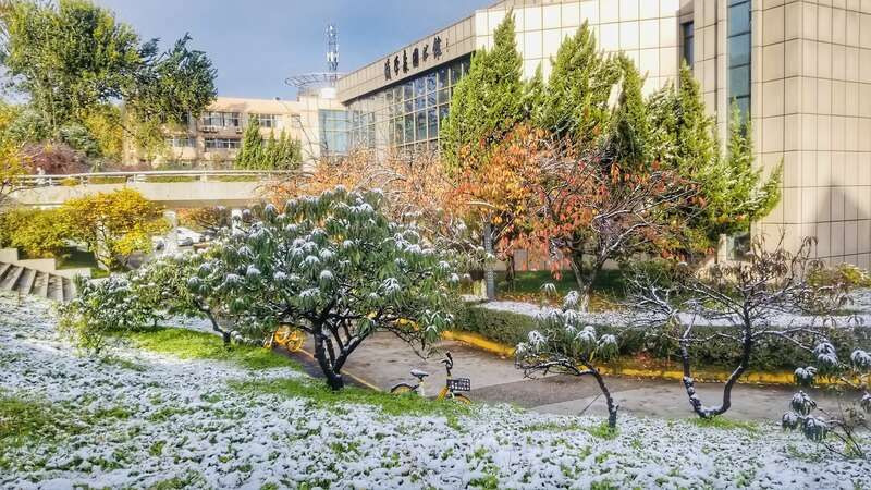 西安交通大学校园雪景|青年眼| 校园