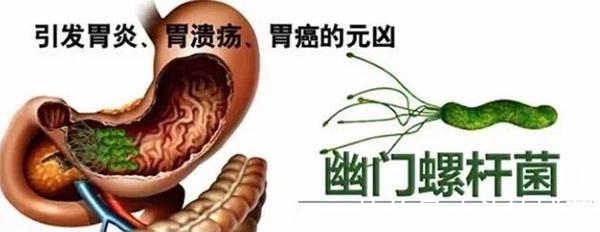 浓咖啡|为什么慢性胃炎总是不好？是因为缺少什么营养吗？应该怎么食补？