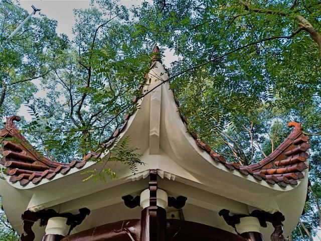 融化|温州又一公园走红，面积10.5公顷就在市区，景美人少还免门票