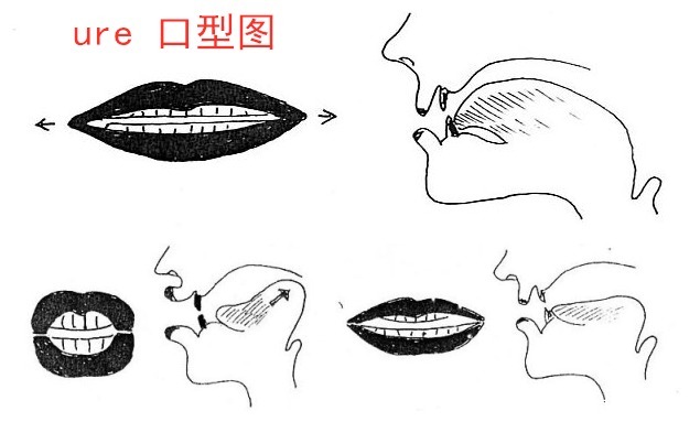 组合元音ure发音方法，不用国际音标准确朗读英语。一个句型造句