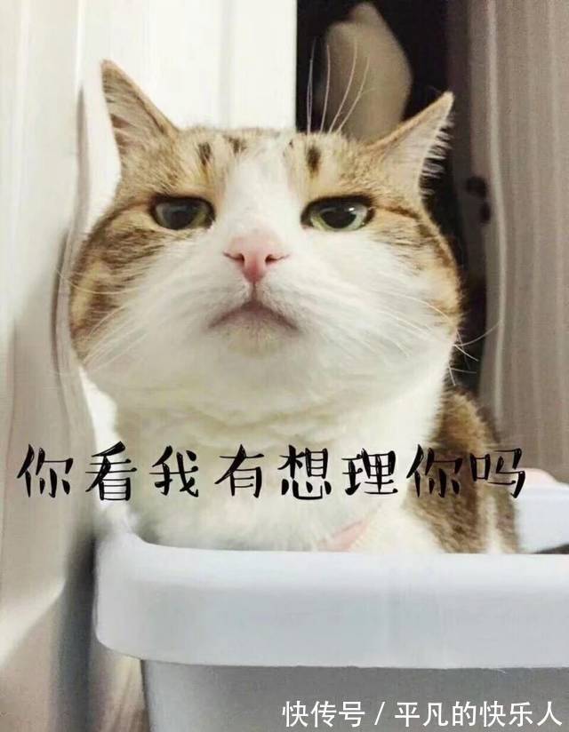 |幽默笑话：男同事跟老婆离婚了 原因是给老婆讲笑话她没笑