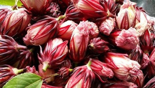 黄桃|最有营养的3种食物，补充营养、延缓衰老，好吃又不贵！