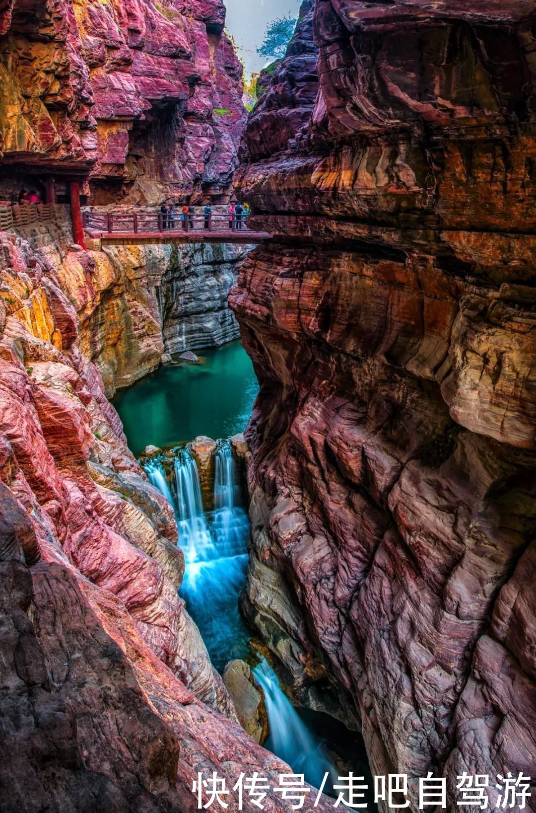 老年|这些公园，又仙又美，秒杀国内众多景点，很多人喜欢一去再去