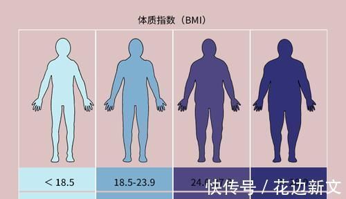 范围|什么样的体重容易长寿？标准范围说给你，若能达标，或是长寿体质