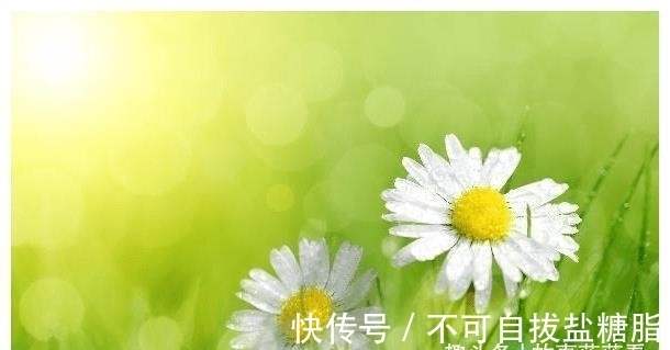 摩羯座|12月桃花纷纷，遇爱情，走好运的星座