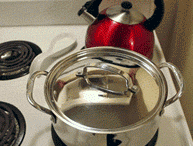 |搞笑动图:看你这么热情,本猫神就跟你握个手吧!