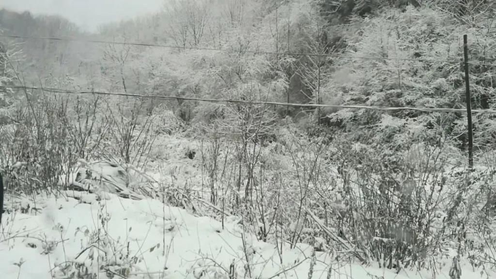 县区|初雪！周边县区雪景美图来袭！