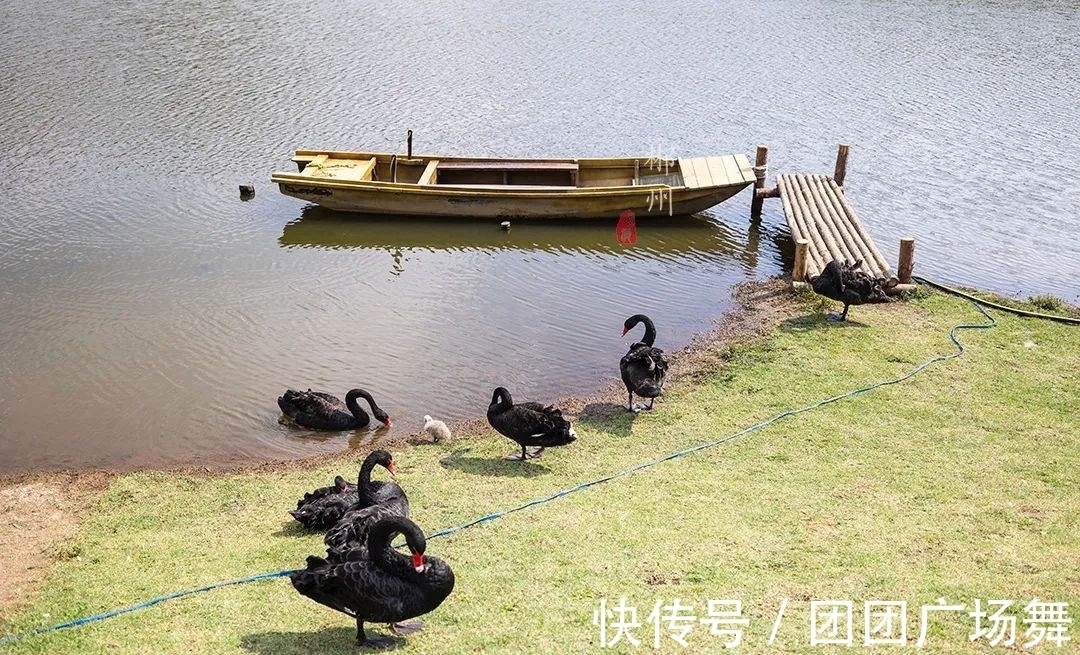 高山草原|离大湾区最近，面积最大的高山草原，被誉为“江南呼伦贝尔”