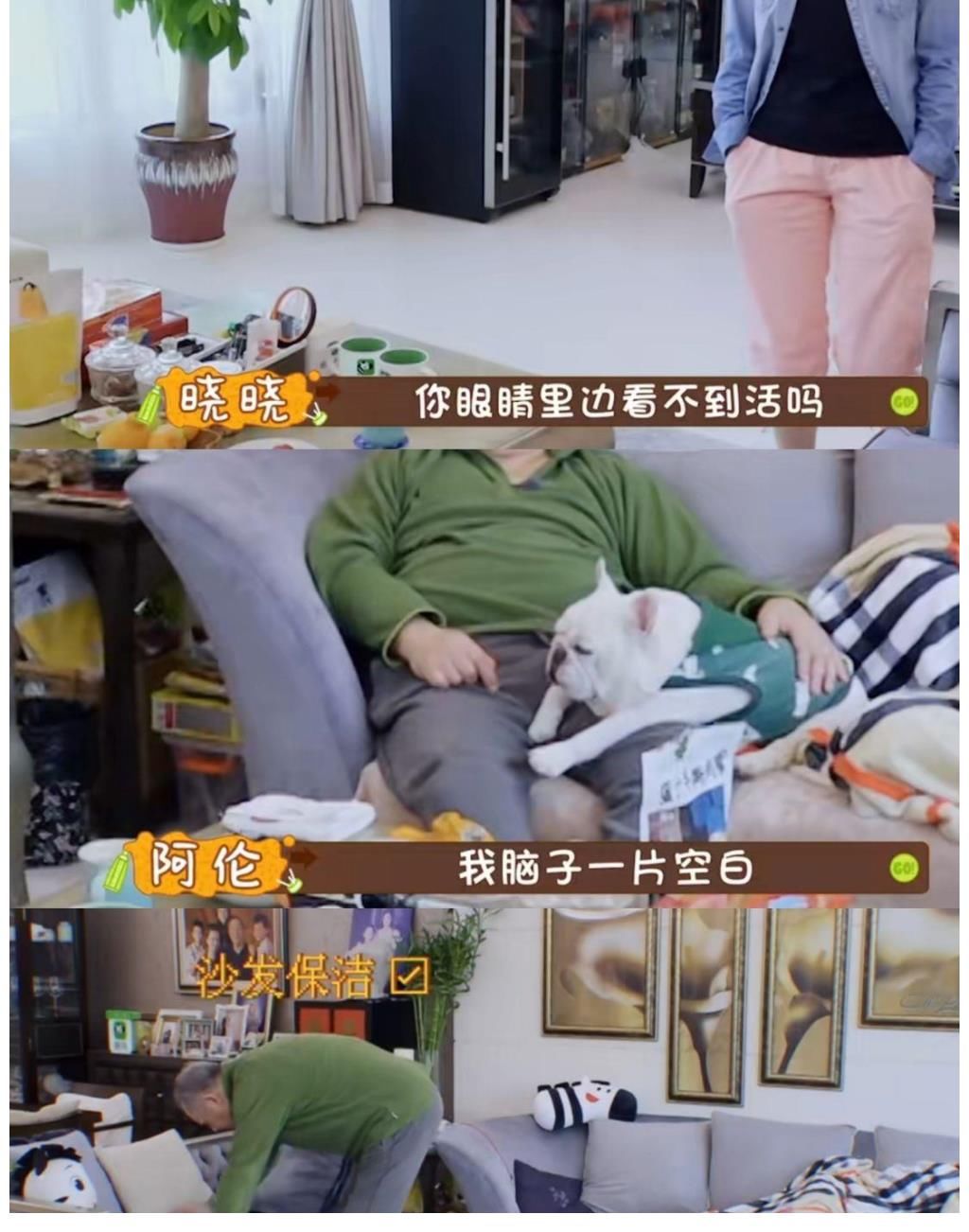 家庭|《做家务的男人3》上线，看三组家庭相处模式，体味不同的人生