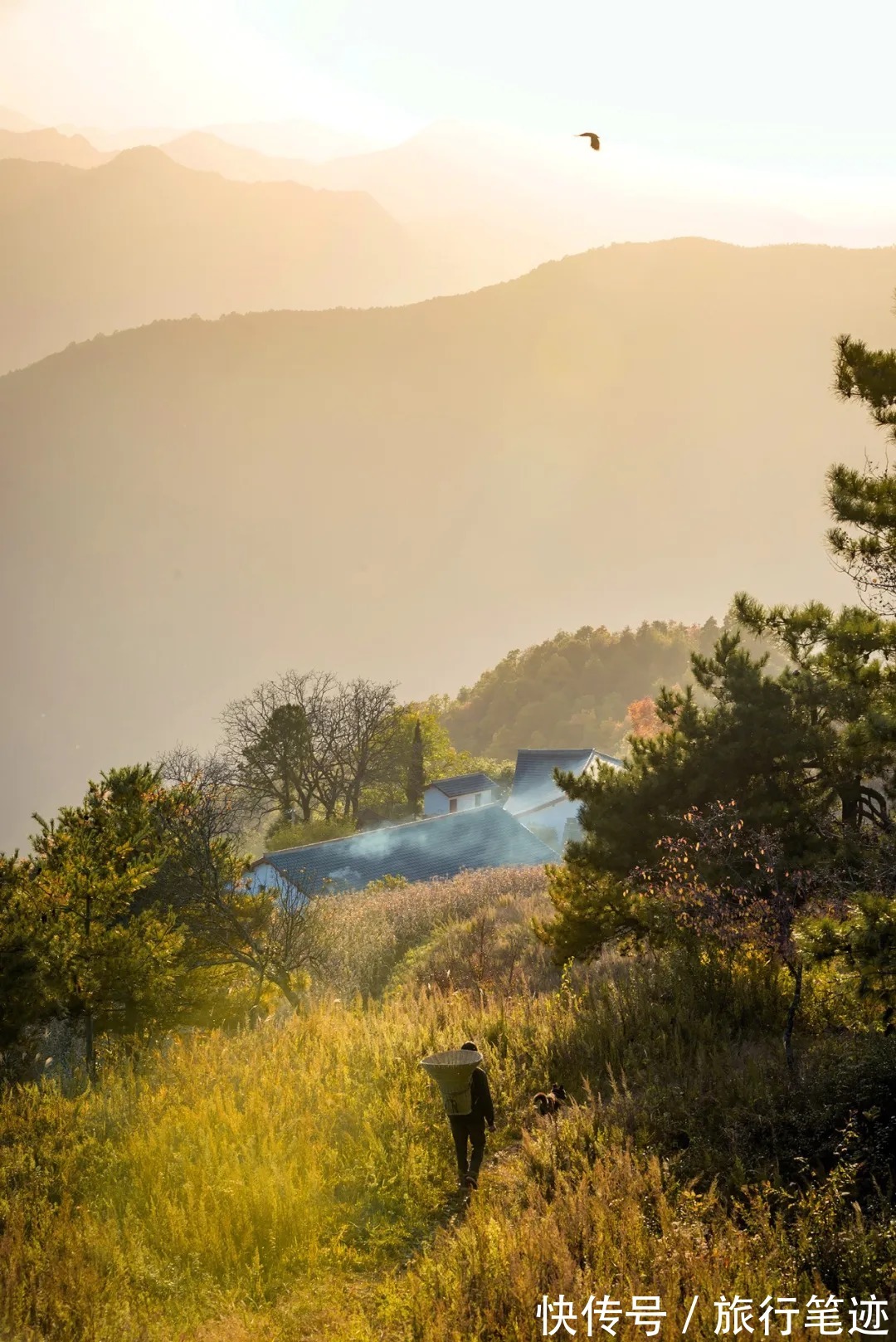 许家山|秘境徒步｜秦岭留坝深处这四条线路，惊艳了整个秋天