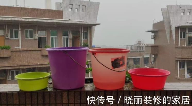养花|养花浇水是门学问,不讲究迟早要吃大亏,别再随意用了