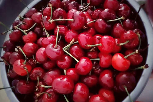 维生素e|黄体酮不足的女人,吃什么食物好?列出清单,40岁以后,请照着吃