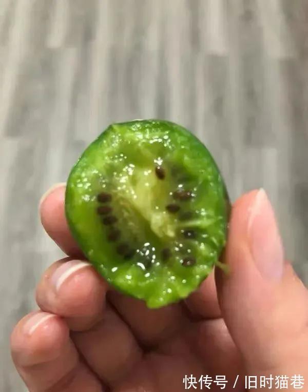 |内涵段子|微 胖 女 生