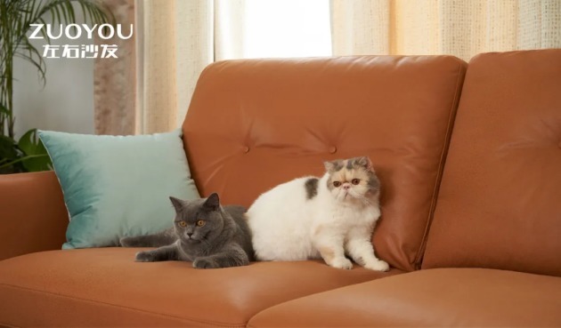 年轻人|当“双十一”遇上左右沙发,硬核年轻