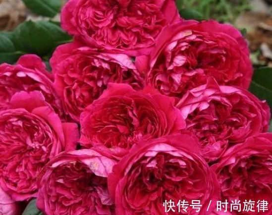 最会穿衣打扮的三种生肖女,有气质颜值高,男人要了解