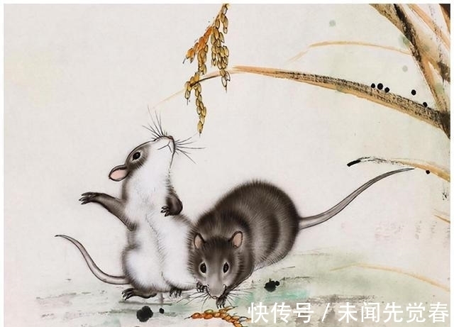 逆袭|四生肖兢兢业业,凭自己努力奋斗,成功逆袭,得到赏识