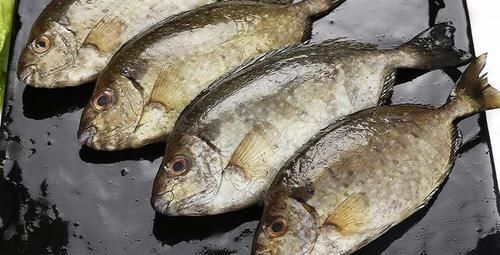 便宜|这5种便宜海鱼,老渔民最爱吃,常被人嫌弃,却不知道营养很丰富