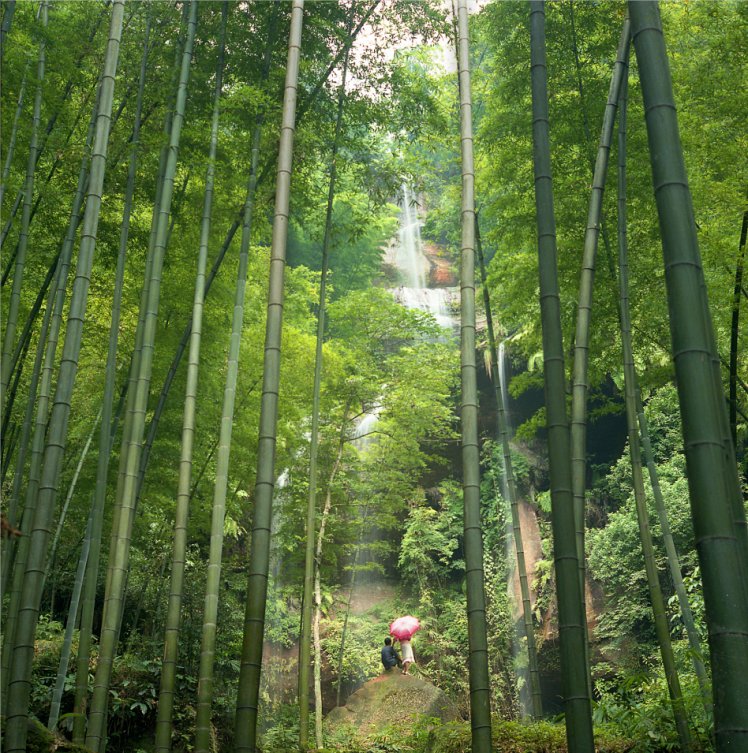 蜀南竹海景区那些传说!|不可不知 | 景区