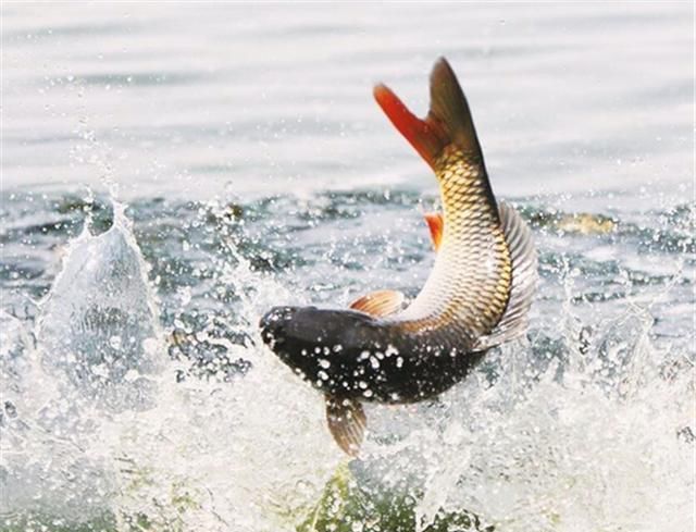 这个地方宁愿空军也不要垂钓，若发生意外则会危及生命