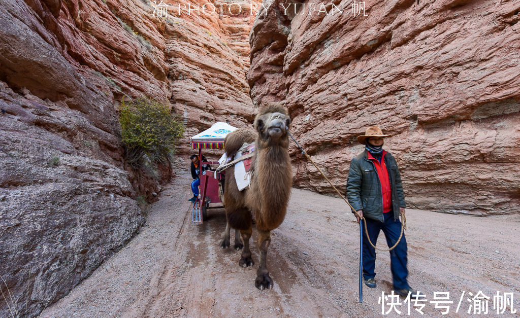 张掖|张掖怎么玩？这篇攻略告诉你！世界级的丹霞草原峡谷石窟全都有