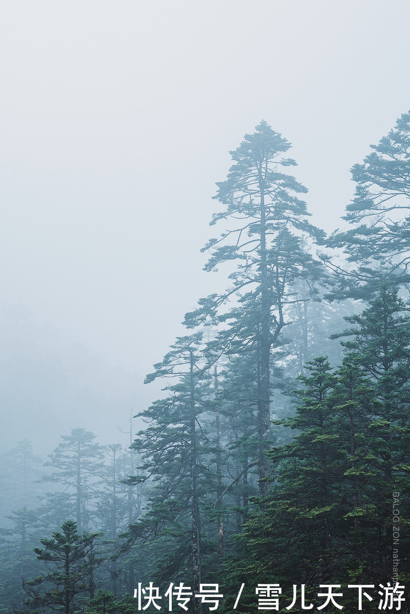 仙境|游峡谷秘境巴拉格宗，雨季仙境香格里拉