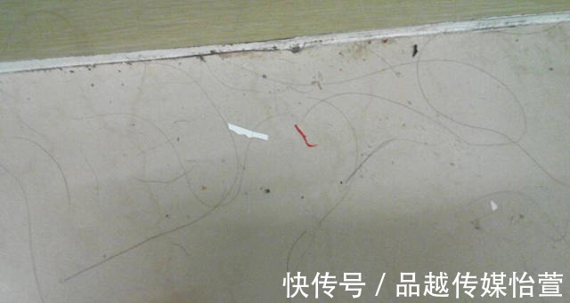 塑料袋|家里满地头发太难扫?试试这个超省事的方法,一根头发都见不到!