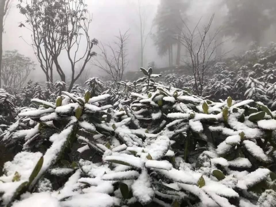 故乡|雪落故乡，让我更认识你——汶川!