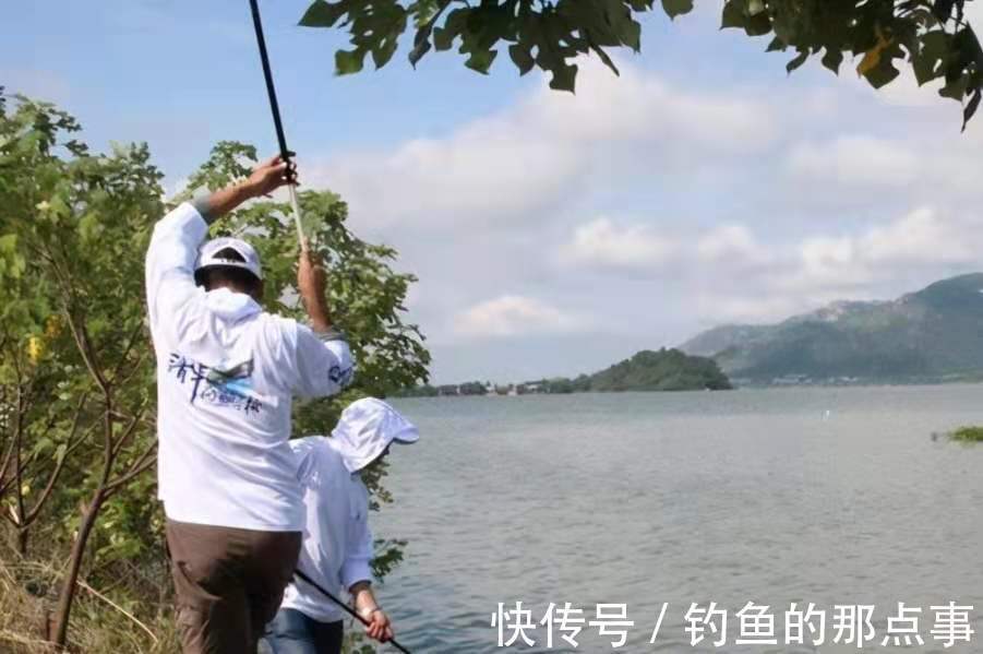 水流太大就不好下竿了？二十年老钓鱼人霸气出招，上鱼特快
