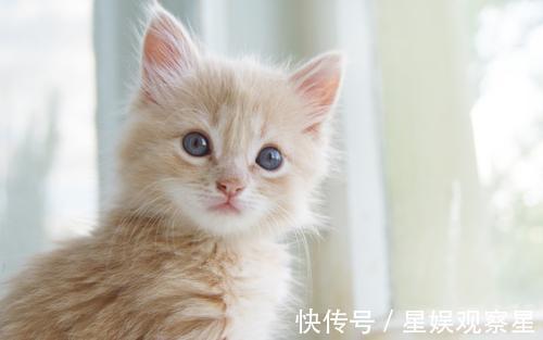 |幽默笑话:我一同学长得特别的帅气,就是那种男生见了都觉得帅气