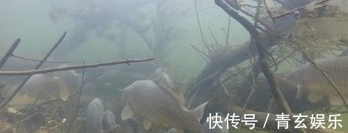 教你做一个“永久鱼窝”,只要别人不知道,连竿上鱼的永远是你