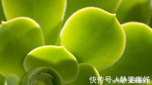 老实人&人有再大的本事,这四句话也别随意说,避免祸从口出