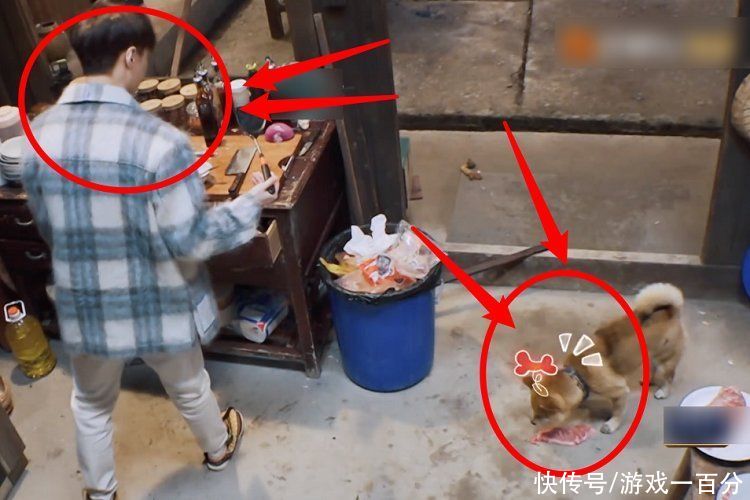 暖心|小O坐等张艺兴给自己投喂，看张艺兴的举动，像极妈妈在喂孩子