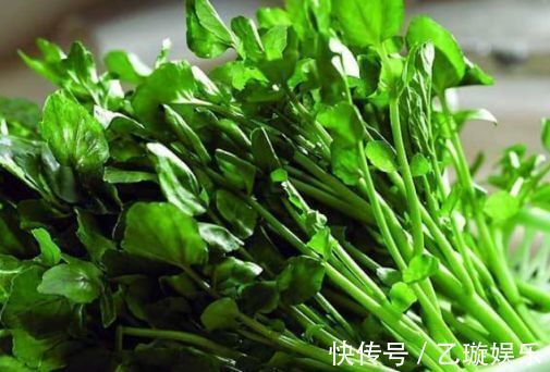 西洋菜|人到中年想长寿,不妨多吃以下4种食物,补血养颜、好处多多!