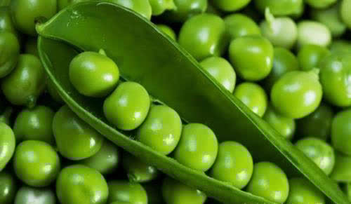 豌豆|中年女人都年轻，推荐吃的食物，滋阴润燥，补血益气，越吃越年轻