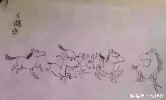 收藏|全球最奇葩的收藏:第一个牛逼了,倒数第二张笑哭我!