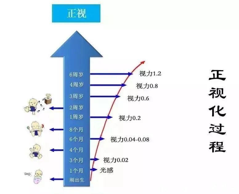 视力|儿童眼健康，儿童视觉发育的特点及视力训练的重要性